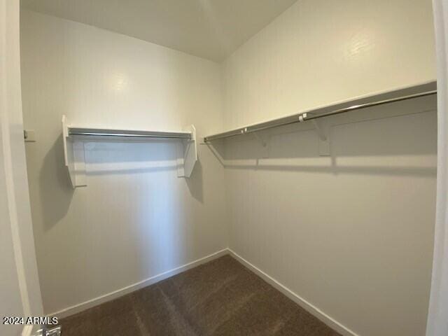 spacious closet with carpet