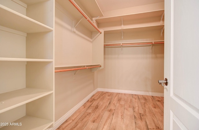 walk in closet with hardwood / wood-style floors