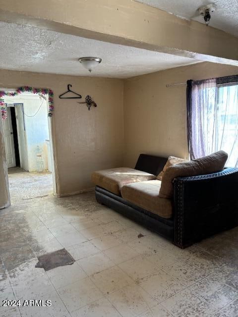 sitting room with a textured ceiling