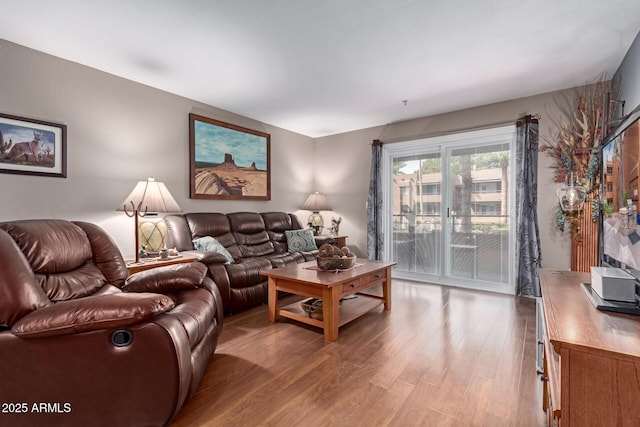 living area featuring wood finished floors