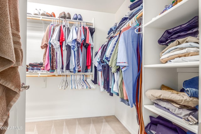 spacious closet with light carpet