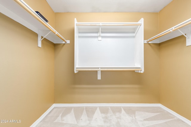 spacious closet featuring carpet floors