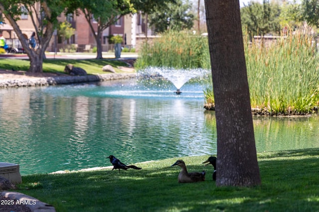 2628 S Voyager Dr Unit 104, Gilbert, AZ 85295 - water view
