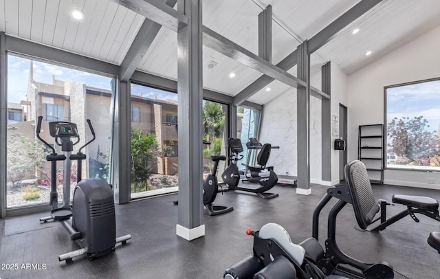 workout area featuring a healthy amount of sunlight and vaulted ceiling