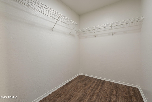 spacious closet featuring dark hardwood / wood-style flooring