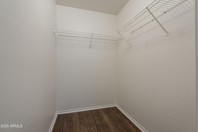 walk in closet featuring hardwood / wood-style floors