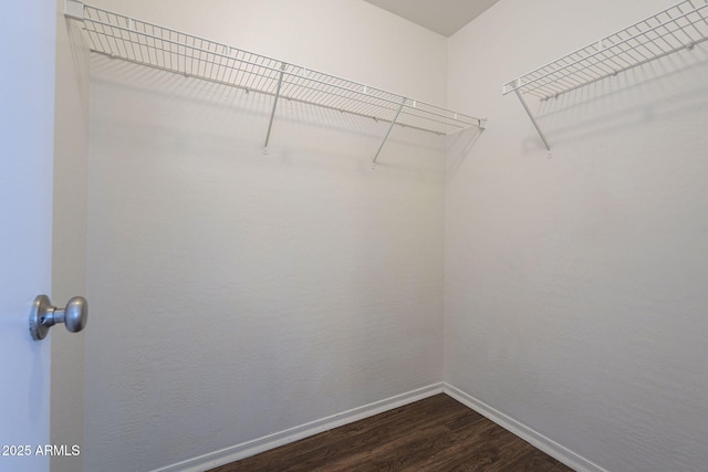 spacious closet featuring dark hardwood / wood-style floors