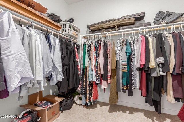 spacious closet with carpet