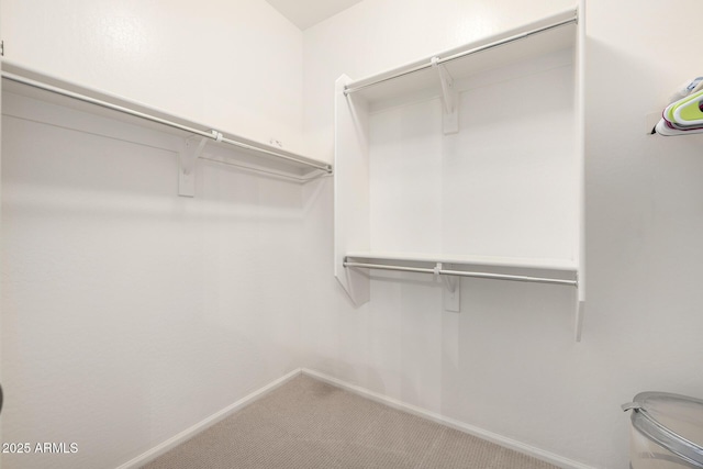 walk in closet with carpet floors