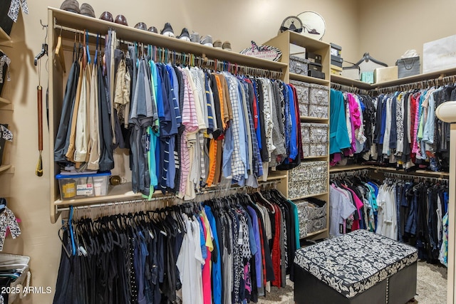 18036 W San Miguel Ave, Litchfield Park, AZ 85340 - view of spacious closet