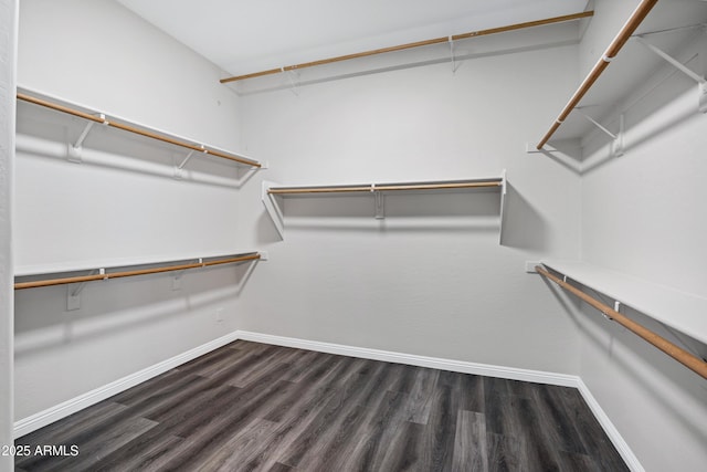 1612 E Zion Way, Chandler, AZ 85249 - walk in closet with dark wood-type flooring