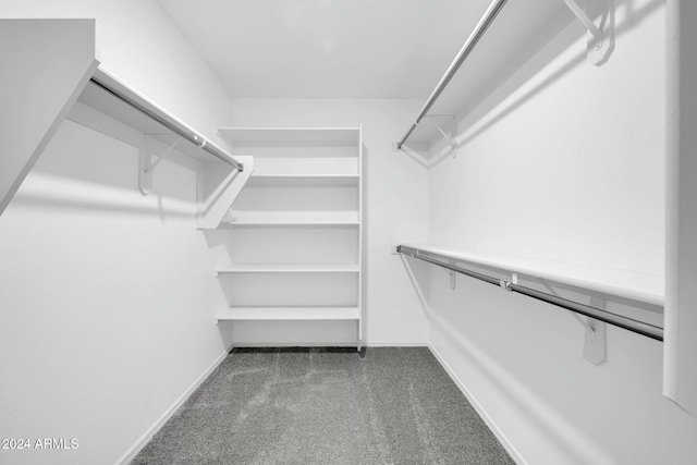 walk in closet with dark colored carpet