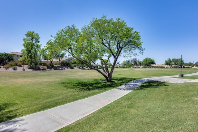 965 E Virgo Pl, Chandler, AZ 85249 - view of property's community featuring a lawn