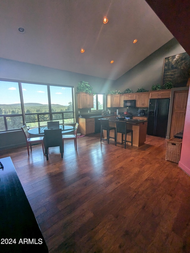 interior space with lofted ceiling and dark hardwood / wood-style flooring