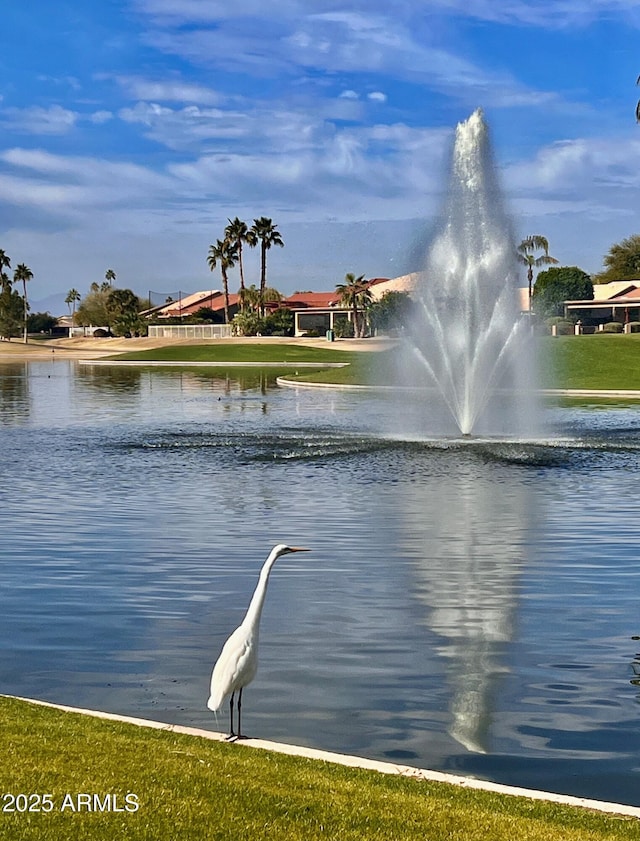 view of water feature