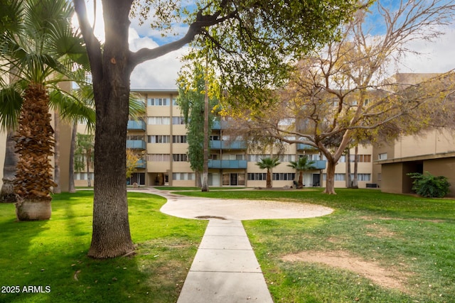 view of community with a yard