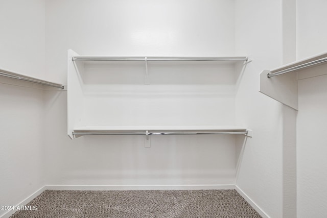 spacious closet with carpet