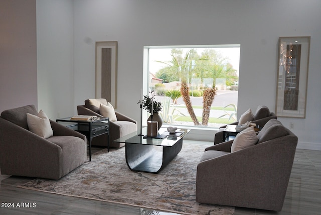 living room featuring hardwood / wood-style floors