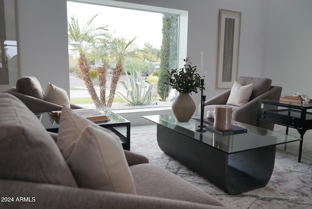 living room with a wealth of natural light