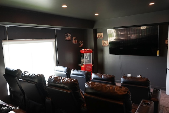 view of carpeted home theater