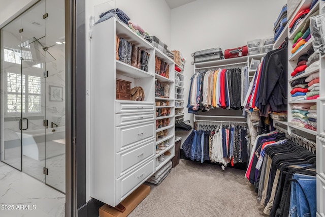 spacious closet with carpet