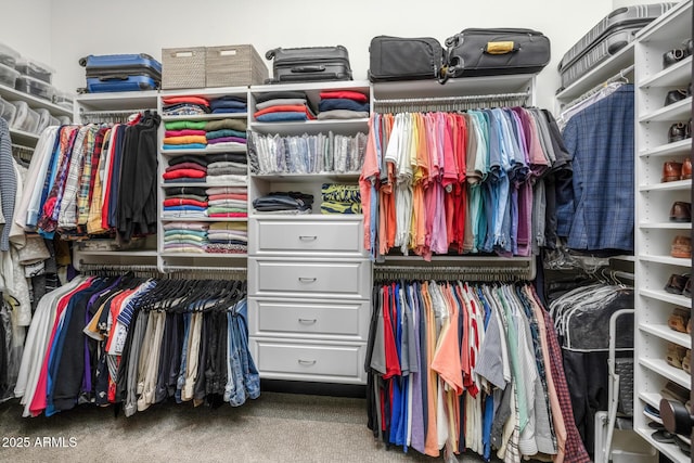 spacious closet with carpet floors