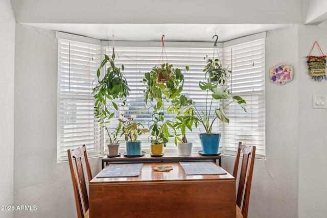 view of dining space