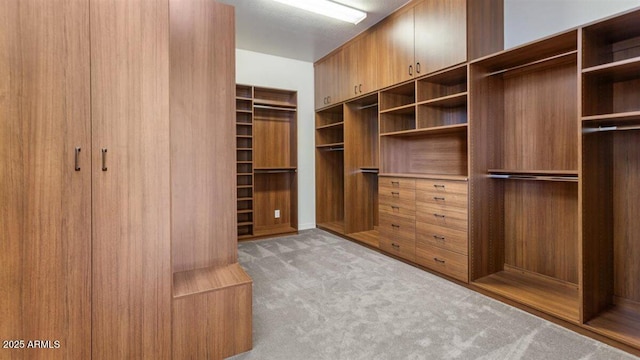 6917 E Ingram Cir, Mesa, AZ 85207 - spacious closet featuring carpet floors