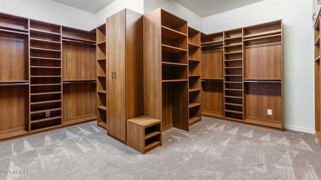 6917 E Ingram Cir, Mesa, AZ 85207 - walk in closet with carpet