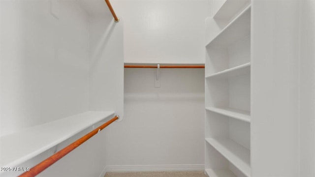 6917 E Ingram Cir, Mesa, AZ 85207 - view of walk in closet