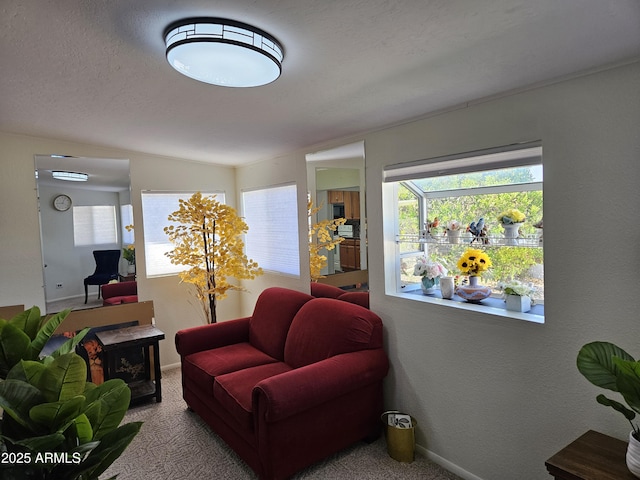 living area with baseboards, plenty of natural light, and carpet