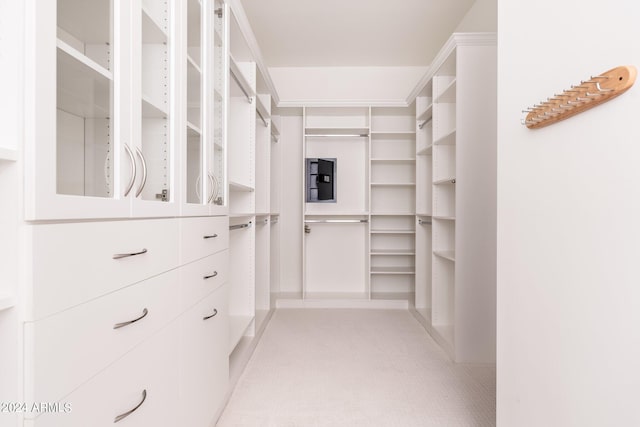 spacious closet with light carpet