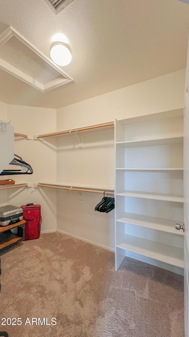 walk in closet featuring carpet flooring