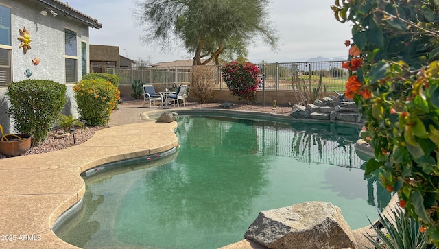 view of pool featuring a patio area, a fenced in pool, and a fenced backyard