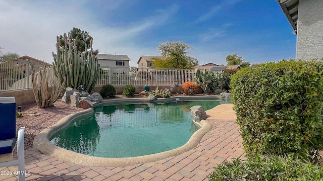 view of pool featuring a fenced in pool, a patio, and a fenced backyard