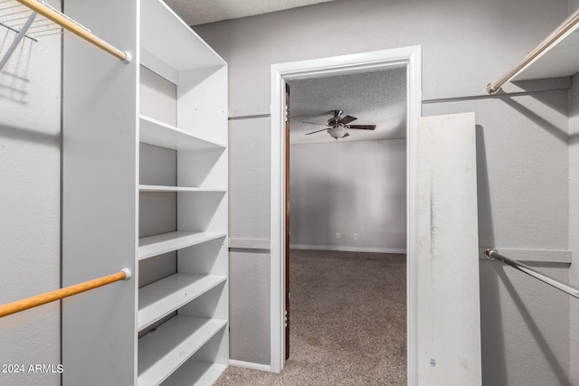 spacious closet featuring ceiling fan and carpet floors