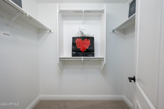 spacious closet with carpet