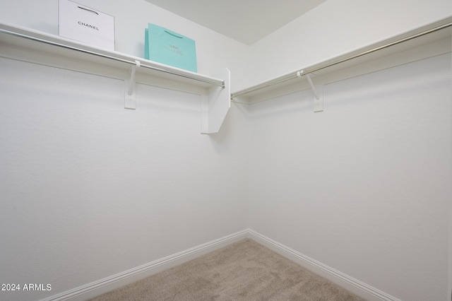 spacious closet featuring carpet flooring