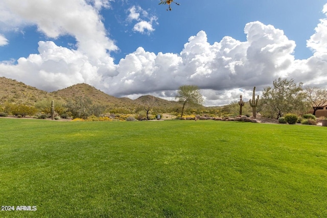 view of home's community with a mountain view and a yard