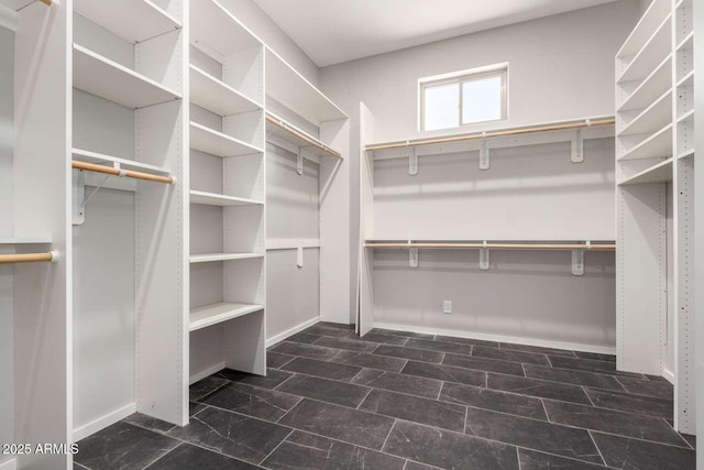 2009 S Raindance Rd, Apache Junction, AZ 85119 - view of spacious closet