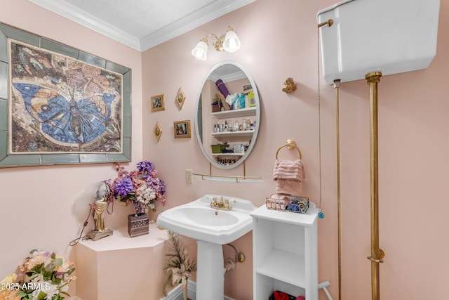 bathroom featuring ornamental molding and sink