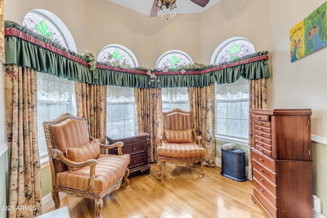 living area with ceiling fan, a wealth of natural light, and light hardwood / wood-style floors