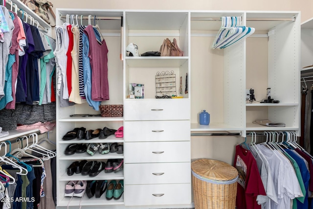 view of spacious closet