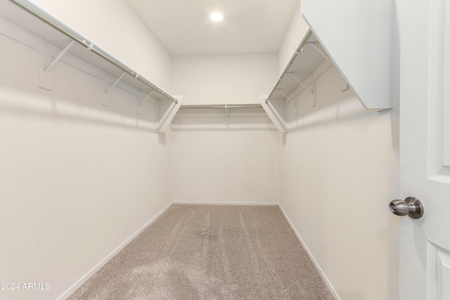 spacious closet with carpet