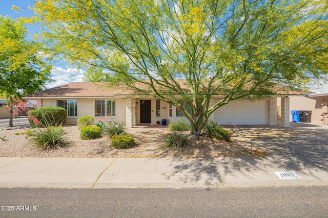 ranch-style home with brick siding, an attached garage, and driveway