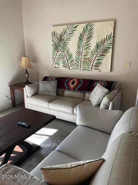 living room with carpet floors