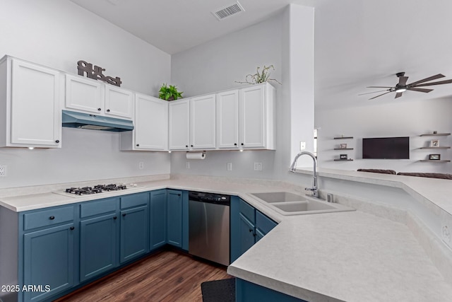 kitchen with dishwasher, blue cabinets, under cabinet range hood, and a sink