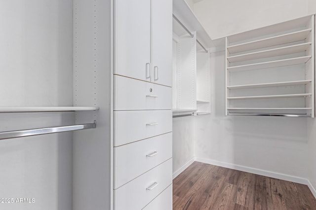 spacious closet with dark wood finished floors