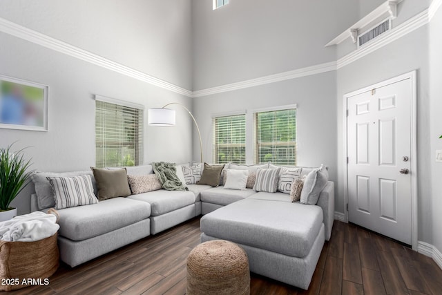 1324 S Banning St, Gilbert, AZ 85296 - living area featuring a high ceiling, dark wood-type flooring, and baseboards