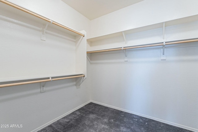 18766 W Montebello Ave, Litchfield Park, AZ 85340 - walk in closet with dark carpet
